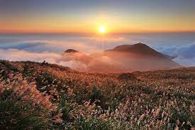 Yangmingshan National Park 